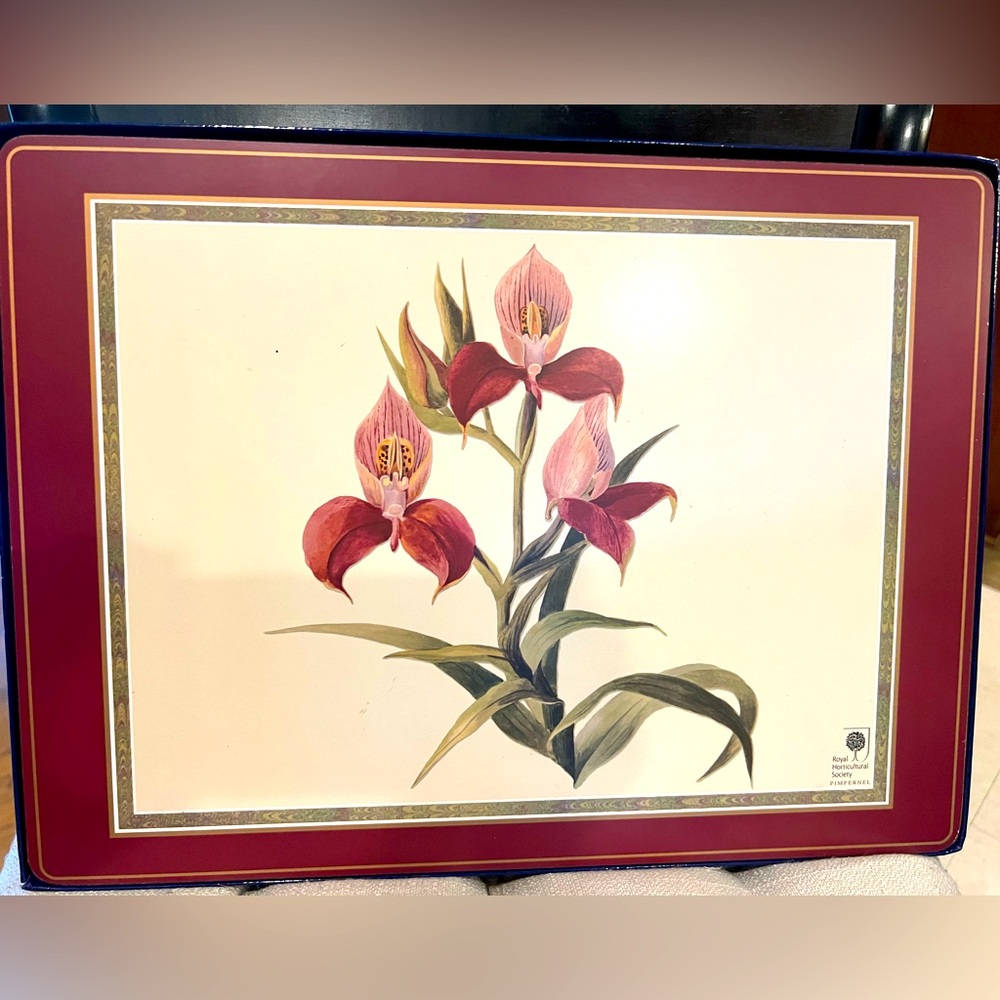 Pimpernel Placemats 🍷🥀 Botanical Orchid Set of 4 Cork Backed Nearly New In Box